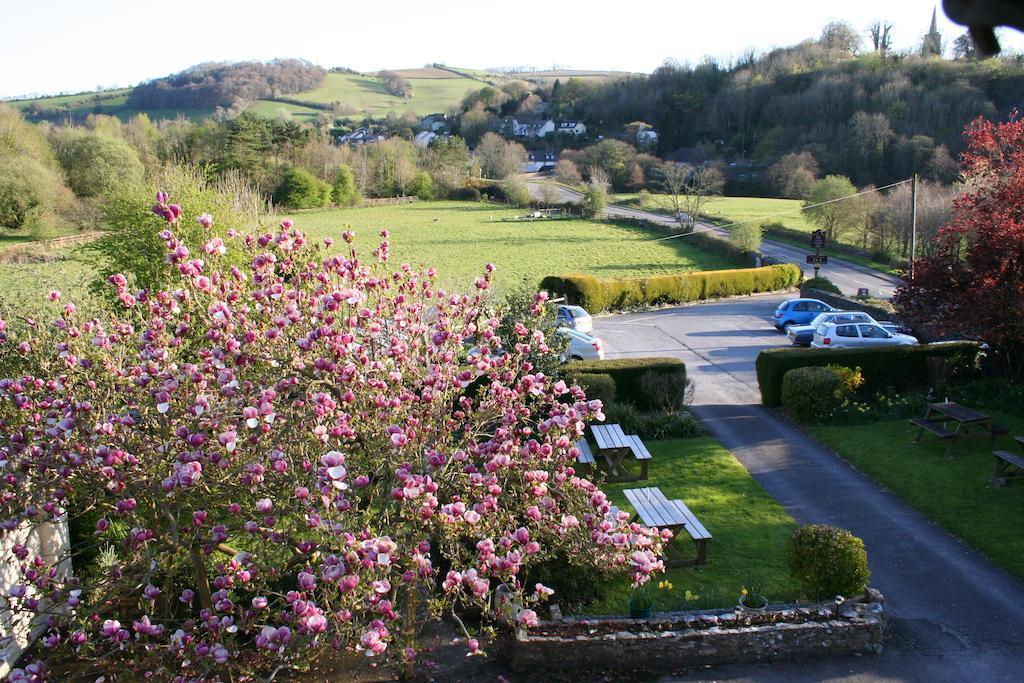 Furzeleigh Mill Inn Buckfastleigh Bagian luar foto